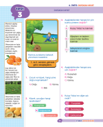 3. Sınıf İpuçlu Hayat Bilgisi Yeni Nesil Soru Bankası - Görsel 3
