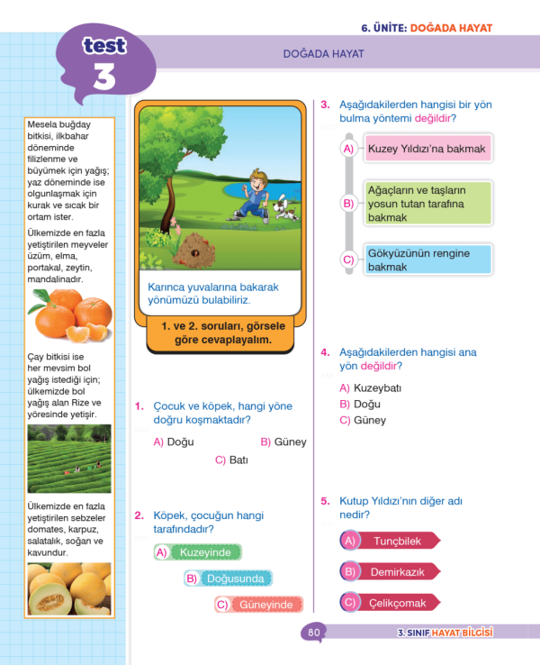 dikkat-atolyesi-3-sinif-hayat-bilgisi-ipuclu-soru-bankasi2 3. Sınıf İpuçlu Hayat Bilgisi Yeni Nesil Soru Bankası - Görsel 3