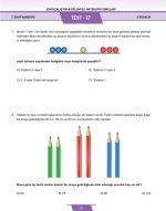 7. Sınıf Zihin Çalıştıran Eğlenceli Kanguru Matematik Soruları - Görsel 8